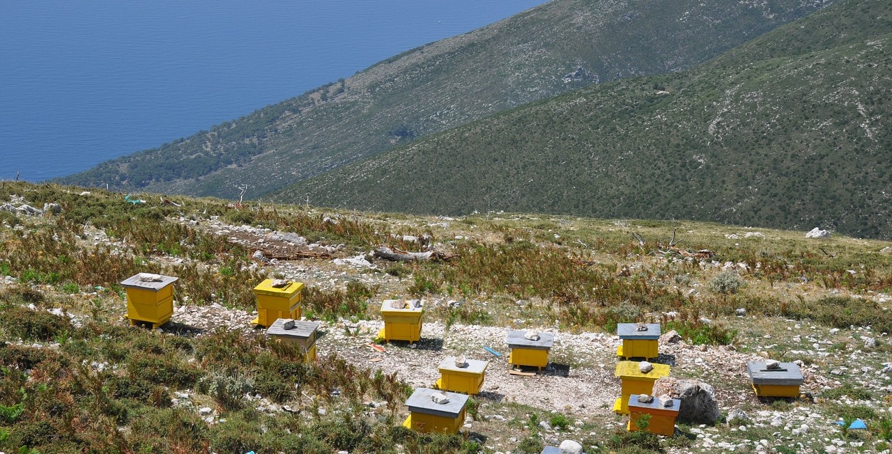 Bienenstock 12