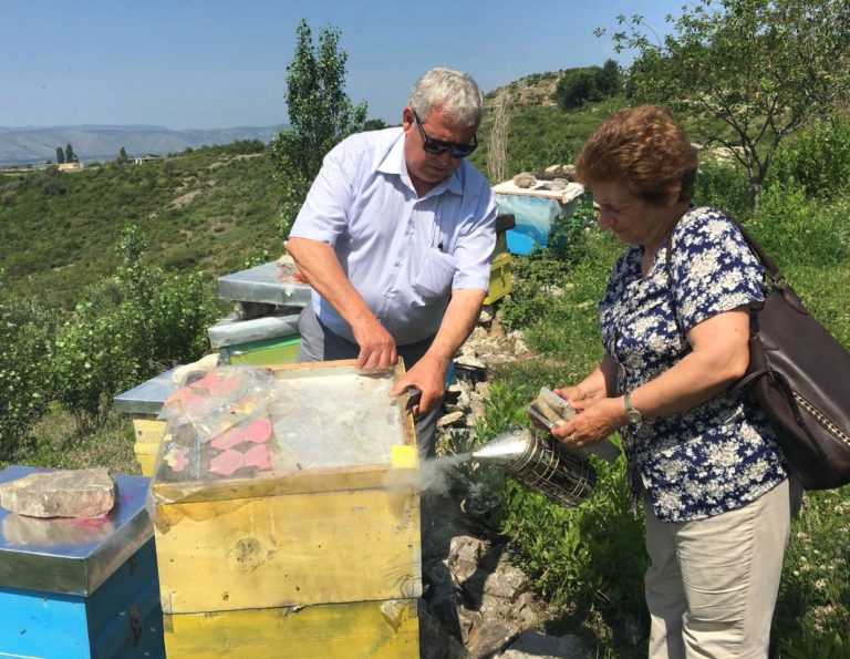 Lejla Shehu visiting beehives of Lezhe Beekeeper Association